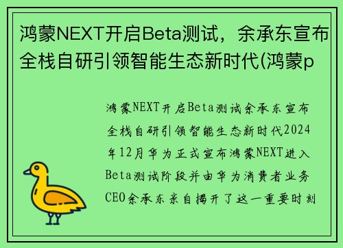 鸿蒙NEXT开启Beta测试，余承东宣布全栈自研引领智能生态新时代(鸿蒙patch03)