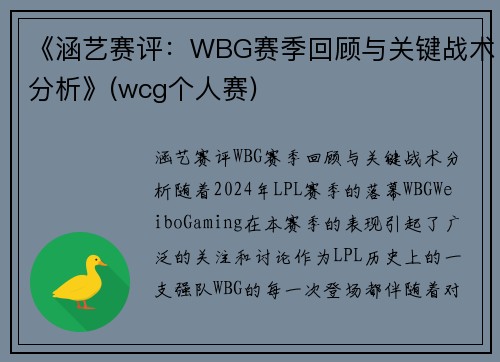 《涵艺赛评：WBG赛季回顾与关键战术分析》(wcg个人赛)