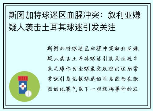 斯图加特球迷区血腥冲突：叙利亚嫌疑人袭击土耳其球迷引发关注