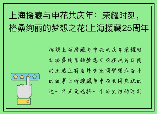 上海援藏与申花共庆年：荣耀时刻，格桑绚丽的梦想之花(上海援藏25周年纪录片)